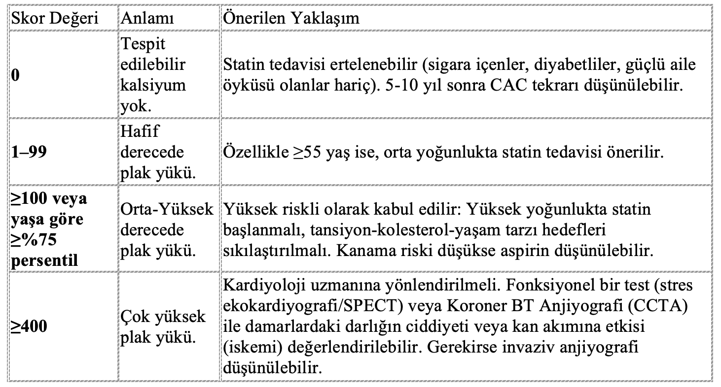 CAC Puanı Sonuçları ve Yorumlanması