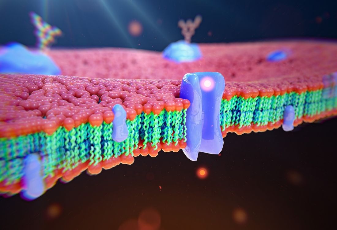 2026 Dislipidemi Kılavuzu