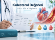 Kolesterol Değerleri Kaç Olmalı